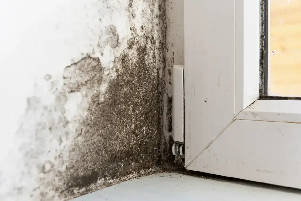 Water damage restoration technician assessing a flooded room in Ontario, CA